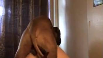 Incredible rear-entry sequence featuring an extremely compliant woman