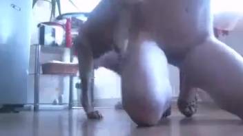 Fast kitchen fuck with a soaked cunt beast-loving babe