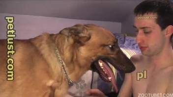 A guy gets off on body rubbing and oral sex in a homosexual animal encounter video.