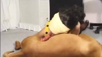 Hardworking hottie pauses her job for some animal fun