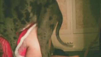 Sexy babe in Santa outfit being pounded by her naughty creature