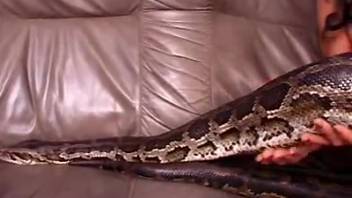Dark-haired woman guides massive snake into her smooth vagina and backside