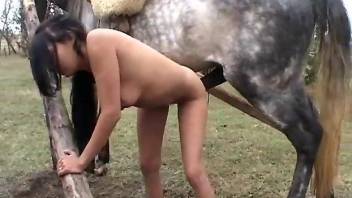 Slim brunette finds a perfect horse penis for sex