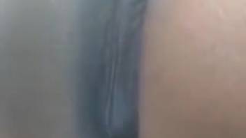 Aroused guy craves deeply penetrating this snug mare's pussy