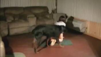 Brown-haired woman relishing intense intercourse with a perverse dog
