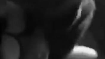 Black and white adult film featuring a twisted zoophilia temptress