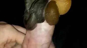 Sexy snails flock to this beautiful cock in HD