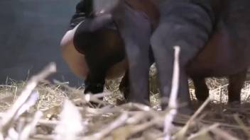 Stunning masked heroine bravely screws every creature imaginable