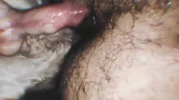 Bushy butthole guy deeply penetrated by an alluring entity