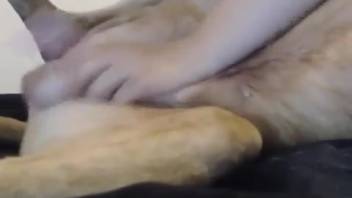 Busty chick mounting a canine's cock like a genuine slut