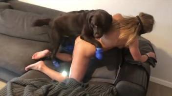 Filthy animal lover gets banged in a bizarre adult film