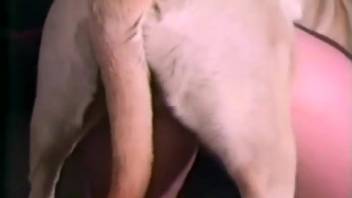 Stunning sex romp with a lustful slut in high definition