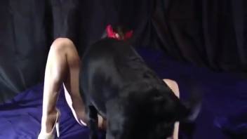 Disguised girl 18+ with a round ass banging her favorite pooch