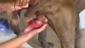 Brown-haired gal fucking a sexy pooch for the cam