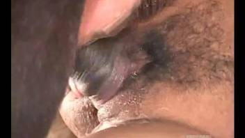 Brutal anal horse porn on two bitches with tight holes