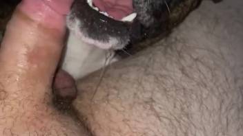 First-person adult film starring a hot beast that gags on dick