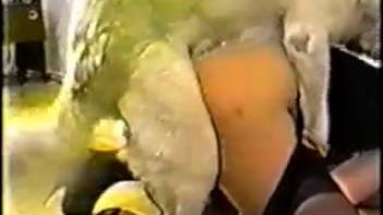 Complimentary adult film featuring intense intercourse and penis mounting