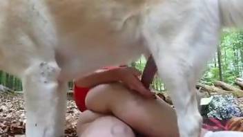 Upskirt teasing and zealous dog fucking on all fours