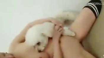 Asian beauty opens her legs for a sexy white dog