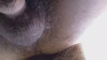 Aroused guy attempts bestiality on camera