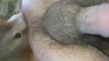 Dirty anal gets to screw a very hairy hole from behind