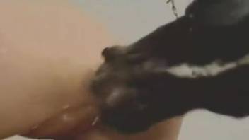 Blond female inserts enormous canine cock into her two damp orifices