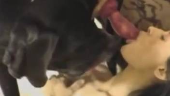 Slender dark-haired woman demonstrates her blowjob talents to an attractive canine