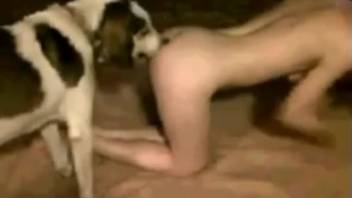 Curvy ass chick being banged by a filthy mutt