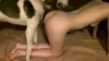 Round booty babe getting fucked by a dirty dog
