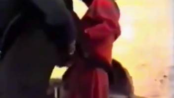 Classic footage involving animal intercourse and steamy adultery as well