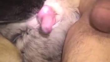 Guy adores the dog tonguing his rear and even thrusting into it