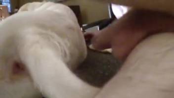 Attractive man with a perfectly curved butt savoring intense penetration