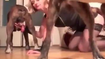 Blonde getting spit roasted by sexy looking dogs