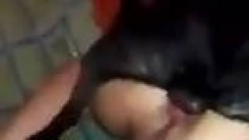 Pierced pussy babe getting fucked by a black dog
