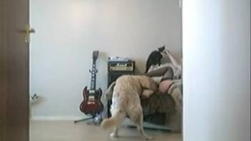 Steamy dog sex footage with a naughty novice girl 18+
