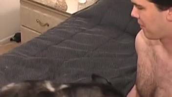 Guy banging a perverted pooch with his thick dick
