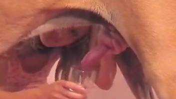 Dashing blonde female sticks entire dog dick right up the ass
