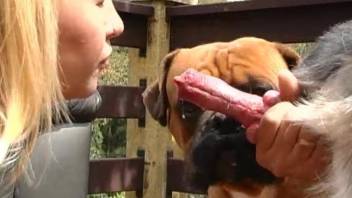 Blonde fucking two dogs in an outdoor porn video