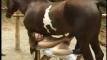 Complete equine bestiality intense scene with a slender female