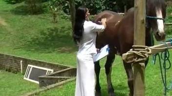 Veterinarian using her skills to pleasure a horse