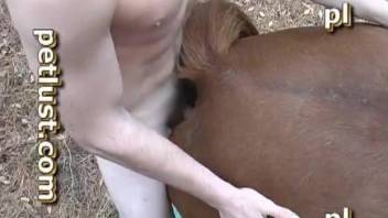 Zoo farmer nailed his horse from behind