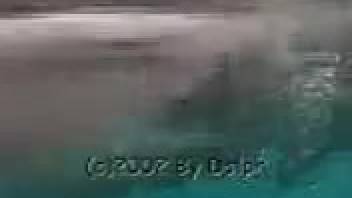 Oceanic bestiality featuring dolphin sex scenes