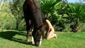 Brunette with frizzy hair fucking a sexy horse