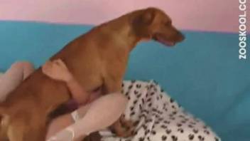 Stunning woman in fishnet stockings being fucked by a hot dog