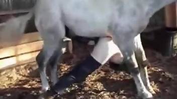 Horse trains that asshole with its colossal cock