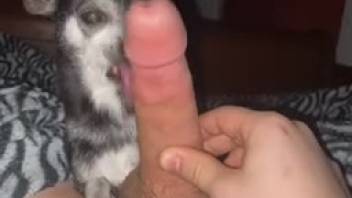Noisy self-pleasure session delivers trembling ecstasy to aroused guy