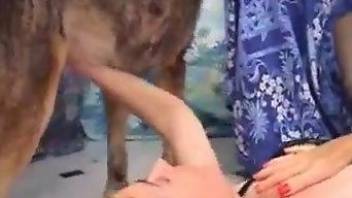 MILF with hairy pussy roughly fucked by the dog and soaked in sperm