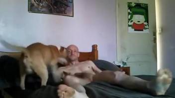 Naked gay male enjoys getting fucked by the dog while on cam