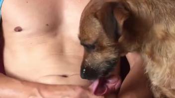 Unique surprise for an excited gay guy during his private home alone time