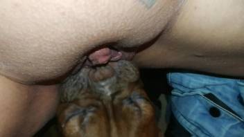 Facesitting and real orgasms with a licker dog
